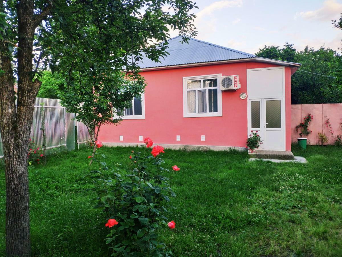 Qafqaz Resort Family House 盖贝莱 外观 照片